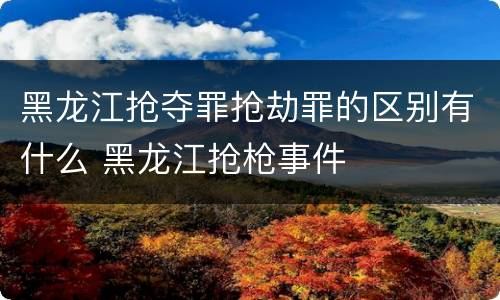 黑龙江抢夺罪抢劫罪的区别有什么 黑龙江抢枪事件