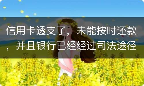 信用卡透支了，未能按时还款，并且银行已经经过司法途径来诉讼，该怎么办