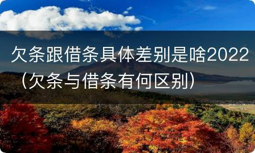 欠条跟借条具体差别是啥2022（欠条与借条有何区别）