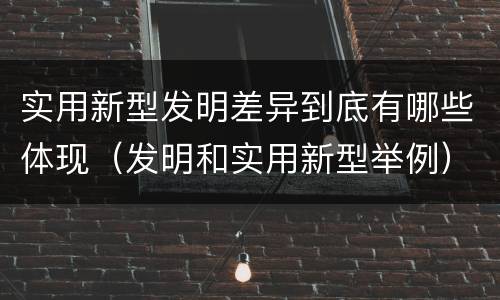 实用新型发明差异到底有哪些体现（发明和实用新型举例）