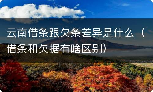 云南借条跟欠条差异是什么（借条和欠据有啥区别）