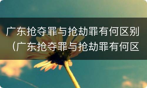 广东抢夺罪与抢劫罪有何区别（广东抢夺罪与抢劫罪有何区别呢）