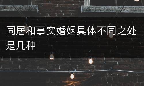 同居和事实婚姻具体不同之处是几种