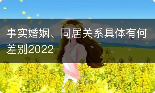 事实婚姻、同居关系具体有何差别2022