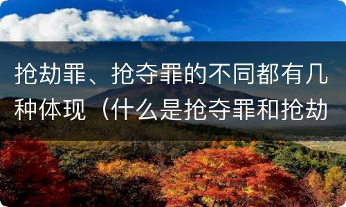 抢劫罪、抢夺罪的不同都有几种体现（什么是抢夺罪和抢劫罪）