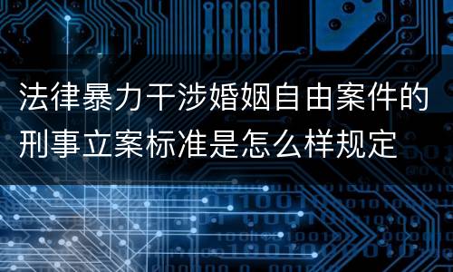 法律暴力干涉婚姻自由案件的刑事立案标准是怎么样规定