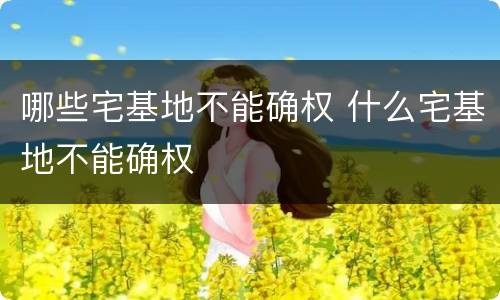 哪些宅基地不能确权 什么宅基地不能确权