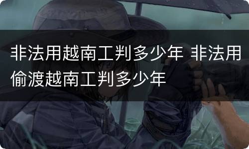 非法用越南工判多少年 非法用偷渡越南工判多少年