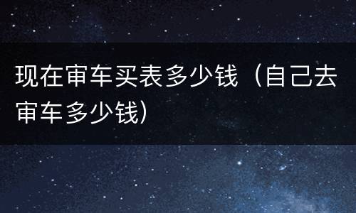 现在审车买表多少钱（自己去审车多少钱）
