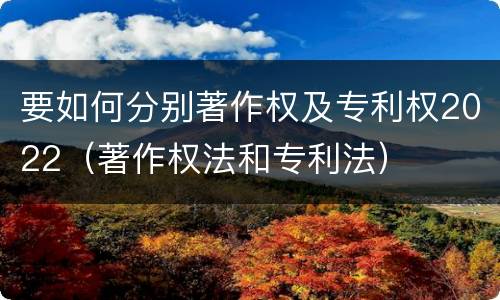要如何分别著作权及专利权2022（著作权法和专利法）