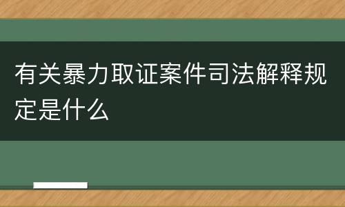 有关暴力取证案件司法解释规定是什么