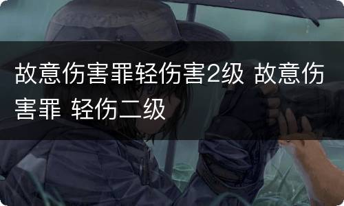故意伤害罪轻伤害2级 故意伤害罪 轻伤二级