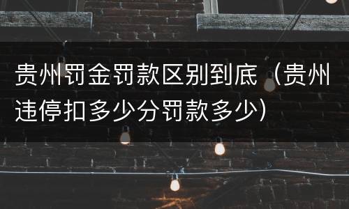 贵州罚金罚款区别到底（贵州违停扣多少分罚款多少）