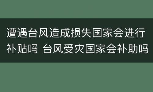 遭遇台风造成损失国家会进行补贴吗 台风受灾国家会补助吗