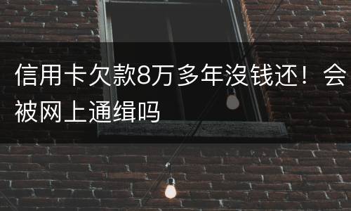 信用卡欠款8万多年沒钱还！会被网上通缉吗