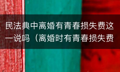 民法典中离婚有青春损失费这一说吗（离婚时有青春损失费这一说法吗）