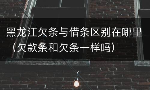 黑龙江欠条与借条区别在哪里（欠款条和欠条一样吗）