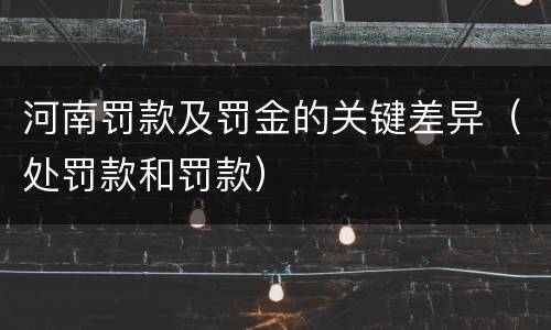 河南罚款及罚金的关键差异（处罚款和罚款）
