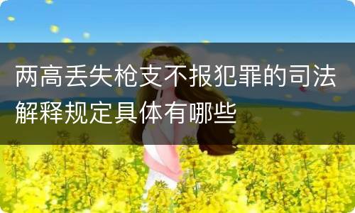 两高丢失枪支不报犯罪的司法解释规定具体有哪些