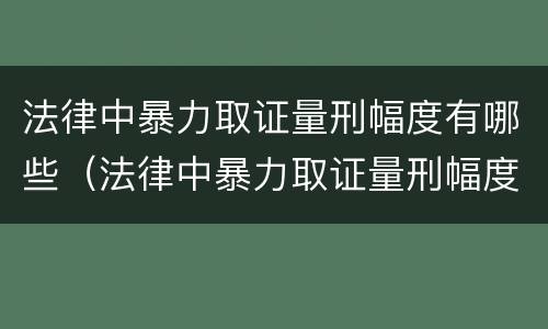 法律中暴力取证量刑幅度有哪些（法律中暴力取证量刑幅度有哪些要求）