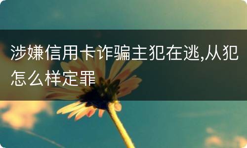 涉嫌信用卡诈骗主犯在逃,从犯怎么样定罪