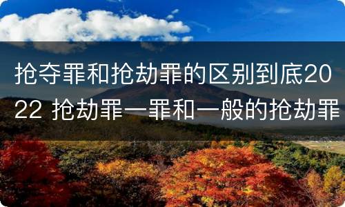 抢夺罪和抢劫罪的区别到底2022 抢劫罪一罪和一般的抢劫罪