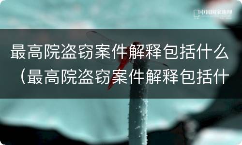 最高院盗窃案件解释包括什么（最高院盗窃案件解释包括什么内容）