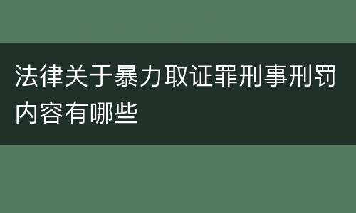 法律关于暴力取证罪刑事刑罚内容有哪些