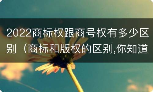 2022商标权跟商号权有多少区别（商标和版权的区别,你知道多少?）