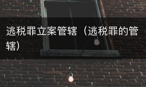 逃税罪立案管辖（逃税罪的管辖）