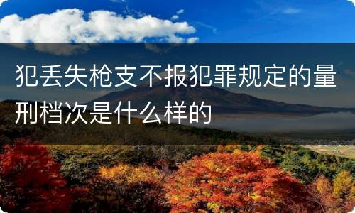犯丢失枪支不报犯罪规定的量刑档次是什么样的