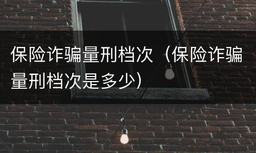保险诈骗量刑档次（保险诈骗量刑档次是多少）