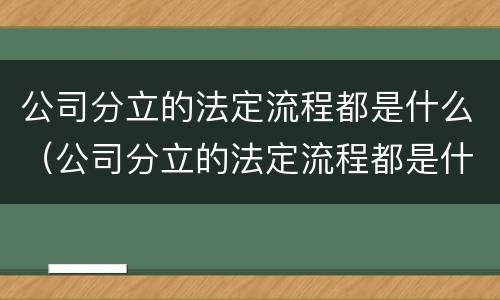 公司分立的法定流程都是什么（公司分立的法定流程都是什么样的）