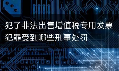 犯了非法出售增值税专用发票犯罪受到哪些刑事处罚