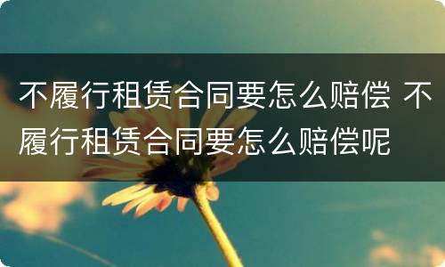 不履行租赁合同要怎么赔偿 不履行租赁合同要怎么赔偿呢