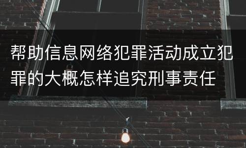 帮助信息网络犯罪活动成立犯罪的大概怎样追究刑事责任