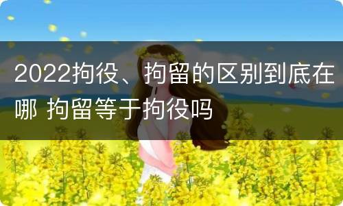 2022拘役、拘留的区别到底在哪 拘留等于拘役吗