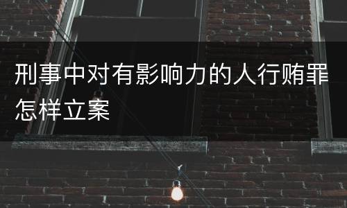 刑事中对有影响力的人行贿罪怎样立案