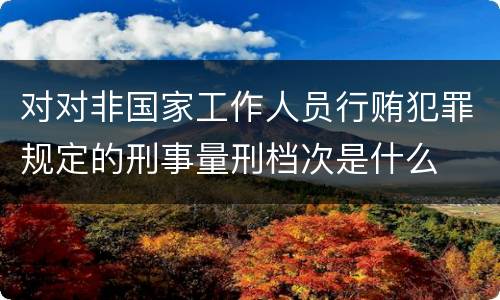 对对非国家工作人员行贿犯罪规定的刑事量刑档次是什么