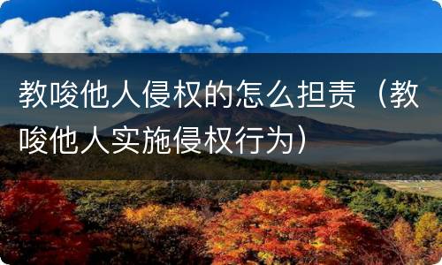 教唆他人侵权的怎么担责（教唆他人实施侵权行为）