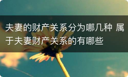 夫妻的财产关系分为哪几种 属于夫妻财产关系的有哪些