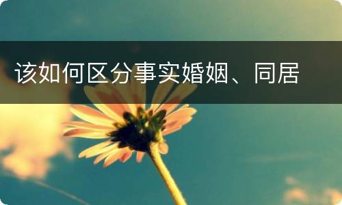 该如何区分事实婚姻、同居