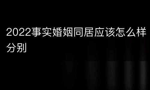2022事实婚姻同居应该怎么样分别