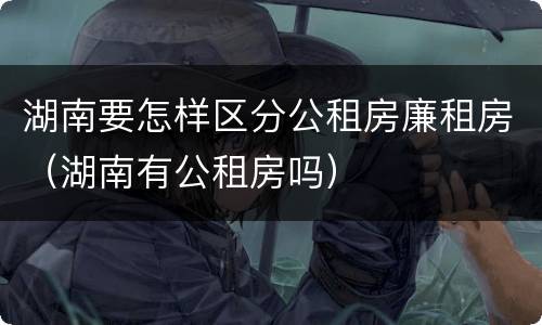 湖南要怎样区分公租房廉租房（湖南有公租房吗）