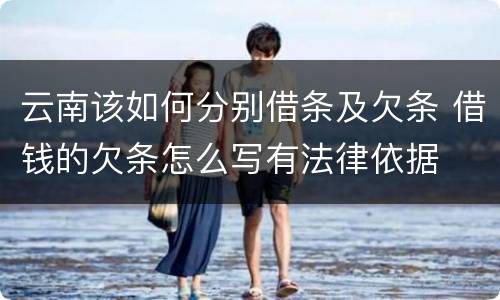 云南该如何分别借条及欠条 借钱的欠条怎么写有法律依据