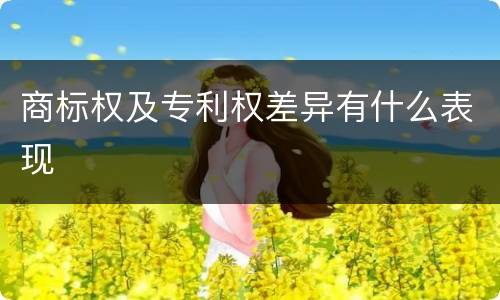 商标权及专利权差异有什么表现