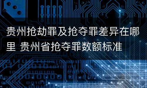 贵州抢劫罪及抢夺罪差异在哪里 贵州省抢夺罪数额标准