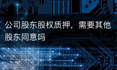 公司股东股权质押，需要其他股东同意吗