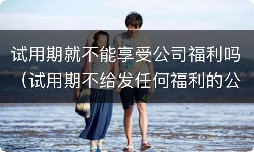 试用期就不能享受公司福利吗（试用期不给发任何福利的公司）