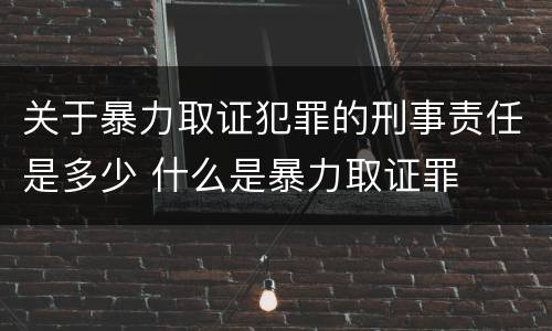 关于暴力取证犯罪的刑事责任是多少 什么是暴力取证罪